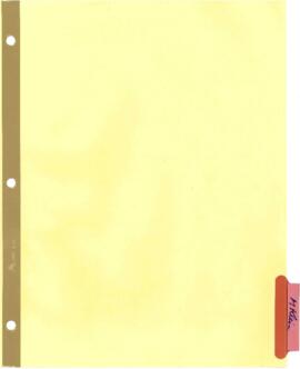 PSD - Work Program I - Advisory Group Organization Structure and Budget Principles; SAP C/S for P...