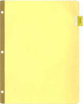 Ernest Stern Chronological files (Development Policy) - Correspondence 1974 - Volume 2