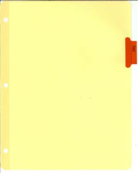 Meeting July 1978/October 1978 - Industrial Development and Trade Panel
