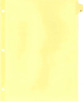 Office of the President's Correspondence Files - Wolfensohn - Correspondence - Volume 2