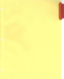 World Bank Non-Governmental Organization [NGO] Committee - General Correspondence