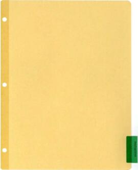 United Nations Development Program [UNDP] Project RAS/82/004 - Project Documents - 1981 / 1986