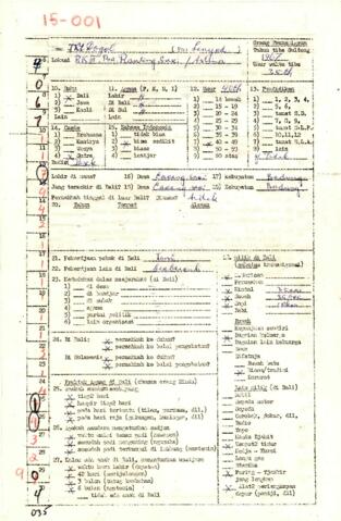 Open original Digital object