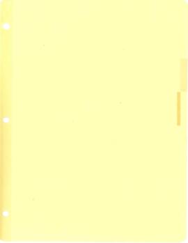Managing Committee Official Files: Minutes - Minutes 02