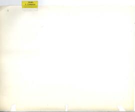 General Research Advisory Panel Income Distribution and Employment (RAPIDE) - v.1