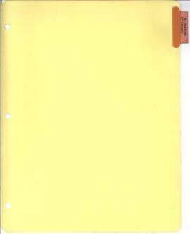 General Research Advisory Panel Income Distribution and Employment (RAPIDE) - v.2